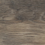 NORTHWOOD ELM
