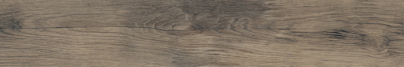 NORTHWOOD ELM