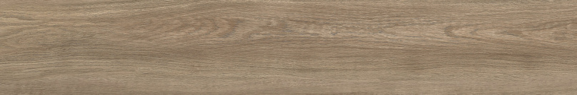 FORESTA QUERCIA