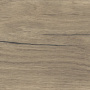 NORTHWOOD ELM