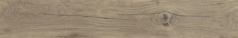 NORTHWOOD ELM