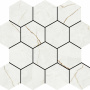 HEXA QUANTUM PULIDO