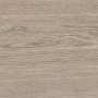 SEQUOYA CEDAR