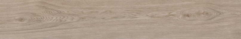 SEQUOYA CEDAR